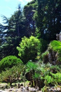 Domaine de Valrose photo 4