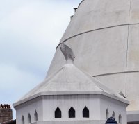 Eglise Sainte-Jeanne-d'Arc photo 3