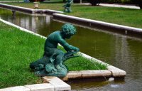 Villa des Palmiers photo 6