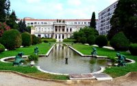 Villa des Palmiers photo 2