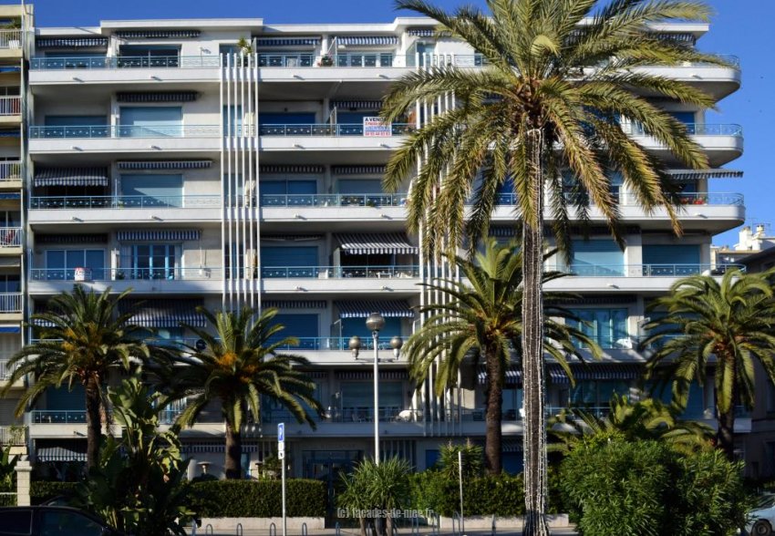 Le Stellamar